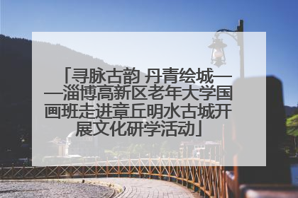寻脉古韵 丹青绘城——淄博高新区老年大学国画班走进章丘明水古城开展文化研学活动