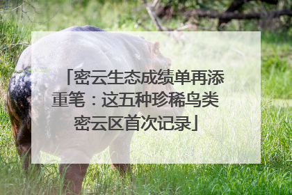 密云生态成绩单再添重笔：这五种珍稀鸟类密云区首次记录