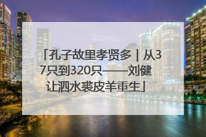 孔子故里孝贤多｜从37只到320只——刘健让泗水裘皮羊重生