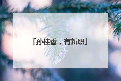 孙桂香，有新职