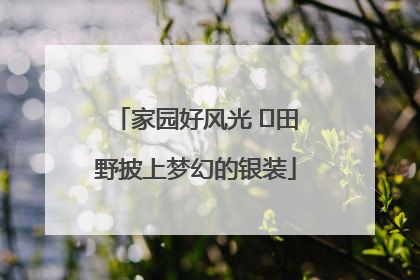 家园好风光 ⎮田野披上梦幻的银装