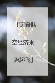 宁夏低空经济乘势起飞