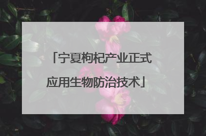 宁夏枸杞产业正式应用生物防治技术