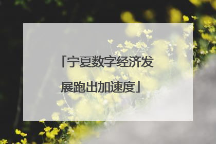 宁夏数字经济发展跑出加速度