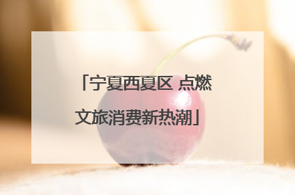 宁夏西夏区 点燃文旅消费新热潮