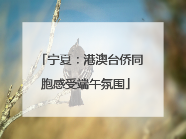 宁夏：港澳台侨同胞感受端午氛围