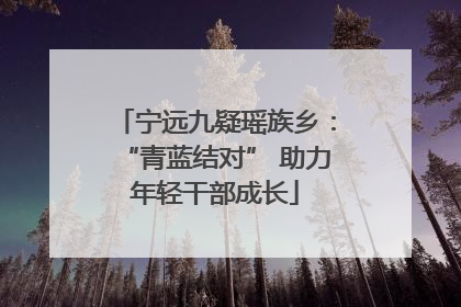 宁远九疑瑶族乡：“青蓝结对” 助力年轻干部成长