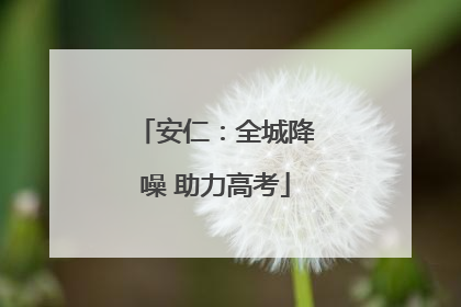 安仁：全城降噪 助力高考