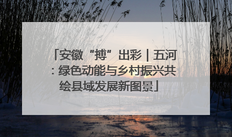 安徽“搏”出彩｜五河：绿色动能与乡村振兴共绘县域发展新图景