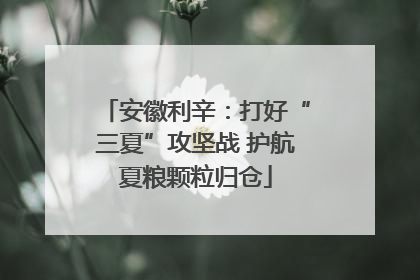 安徽利辛：打好“三夏”攻坚战 护航夏粮颗粒归仓