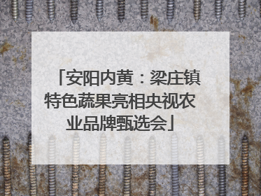 安阳内黄：梁庄镇特色蔬果亮相央视农业品牌甄选会