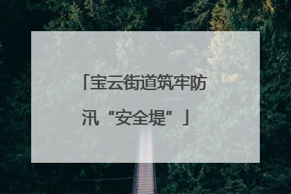 宝云街道筑牢防汛“安全堤”