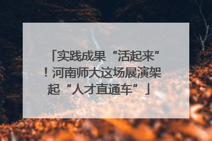 实践成果“活起来”！河南师大这场展演架起“人才直通车”