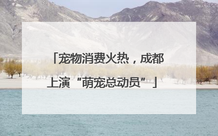 宠物消费火热，成都上演“萌宠总动员”