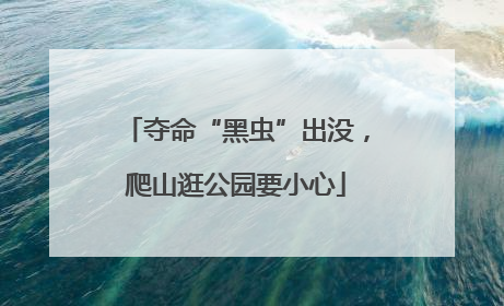 夺命“黑虫”出没，爬山逛公园要小心