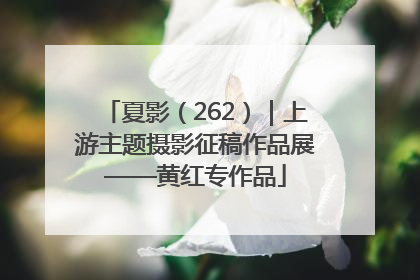 夏影（262）｜上游主题摄影征稿作品展——黄红专作品