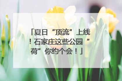 夏日“顶流”上线！石家庄这些公园“荷”你约个会！