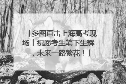 多图直击上海高考现场丨祝愿考生笔下生辉，未来一路繁花！