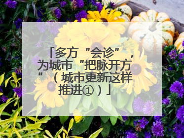 多方“会诊”，为城市“把脉开方”（城市更新这样推进①）