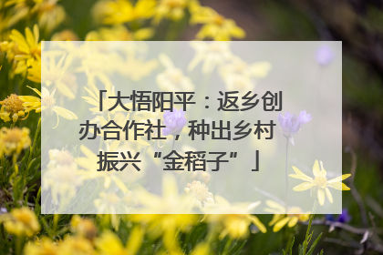 大悟阳平：返乡创办合作社，种出乡村振兴“金稻子”