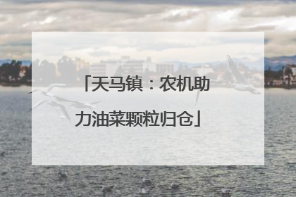 天马镇：农机助力油菜颗粒归仓