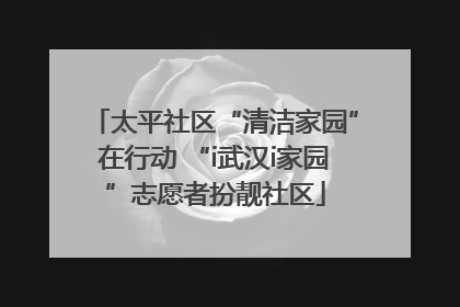 太平社区“清洁家园”在行动 “i武汉i家园”志愿者扮靓社区