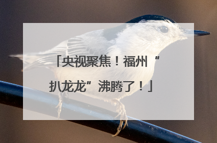 央视聚焦！福州“扒龙龙”沸腾了！