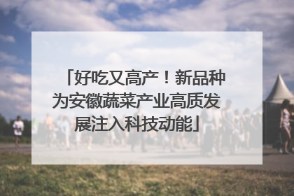 好吃又高产！新品种为安徽蔬菜产业高质发展注入科技动能