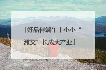 好品伴端午丨小小“潍艾”长成大产业