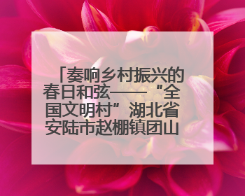 奏响乡村振兴的春日和弦——“全国文明村”湖北省安陆市赵棚镇团山村农文旅融合发展见闻