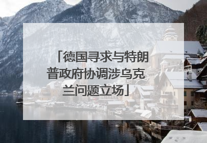 德国寻求与特朗普政府协调涉乌克兰问题立场