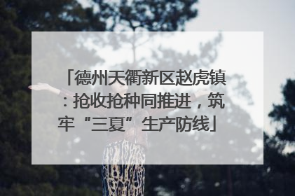 德州天衢新区赵虎镇：抢收抢种同推进，筑牢“三夏”生产防线
