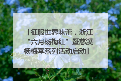 征服世界味蕾，浙江“六月杨梅红”暨慈溪杨梅季系列活动启动