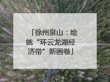 徐州泉山：绘就“环云龙湖经济带”新画卷
