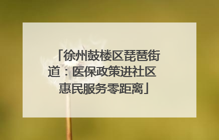 徐州鼓楼区琵琶街道：医保政策进社区 惠民服务零距离