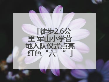 徒步2.6公里 军山小学营地入队仪式点亮红色“六一”