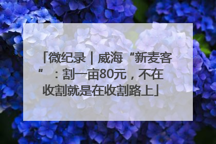 微纪录｜威海“新麦客”：割一亩80元，不在收割就是在收割路上