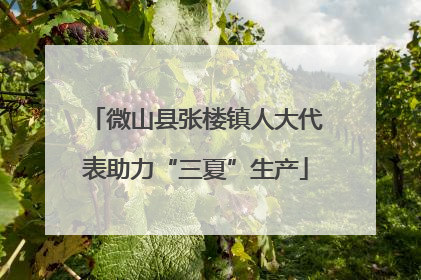微山县张楼镇人大代表助力“三夏”生产