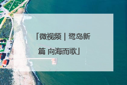 微视频｜鹭岛新篇 向海而歌