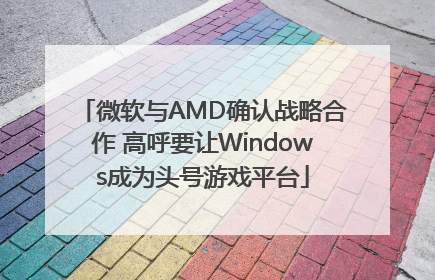 微软与AMD确认战略合作 高呼要让Windows成为头号游戏平台