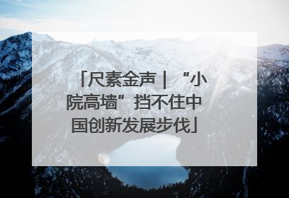 尺素金声｜“小院高墙”挡不住中国创新发展步伐