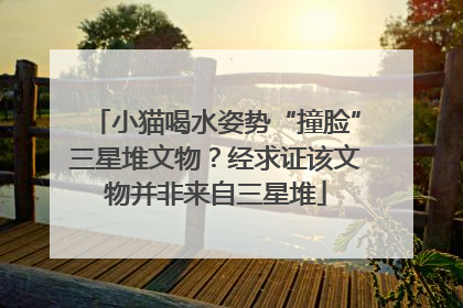 小猫喝水姿势“撞脸”三星堆文物？经求证该文物并非来自三星堆