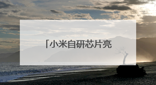 小米自研芯片亮相！雷军：这是场绕不过去的硬仗