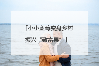 小小蓝莓变身乡村振兴“致富果”