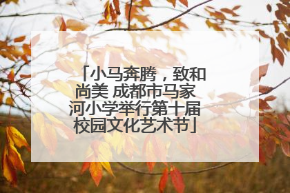 小马奔腾，致和尚美 成都市马家河小学举行第十届校园文化艺术节