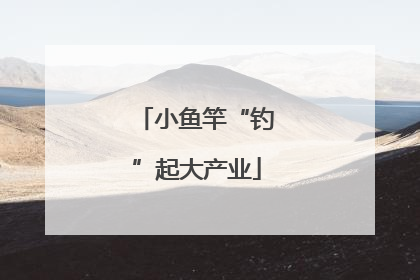 小鱼竿“钓”起大产业