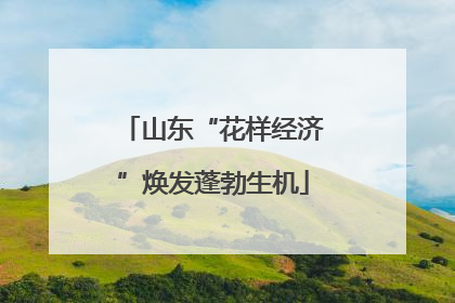 山东“花样经济”焕发蓬勃生机