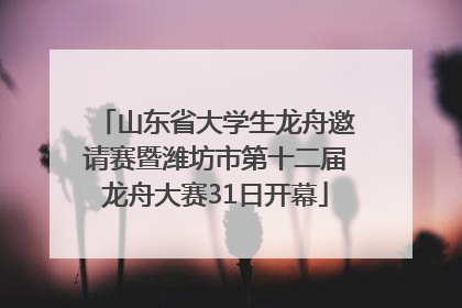 山东省大学生龙舟邀请赛暨潍坊市第十二届龙舟大赛31日开幕