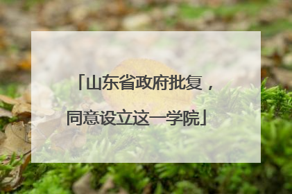 山东省政府批复，同意设立这一学院