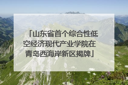 山东省首个综合性低空经济现代产业学院在青岛西海岸新区揭牌